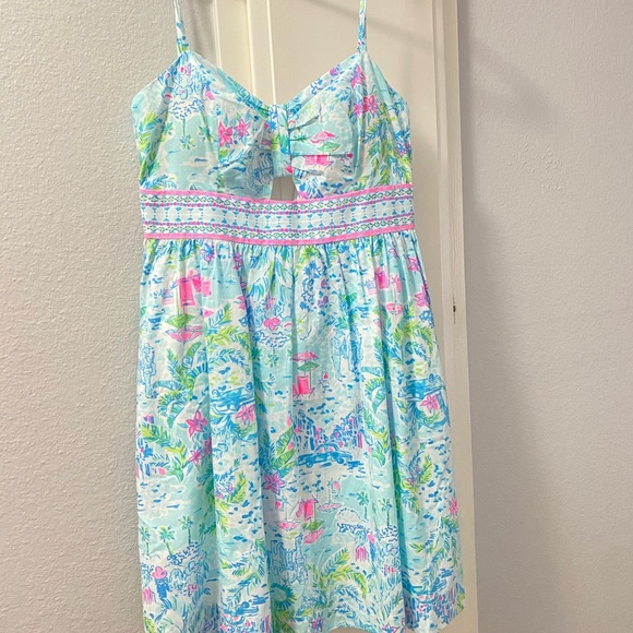 Lilly Pulitzer dress - Picture 1 of 1